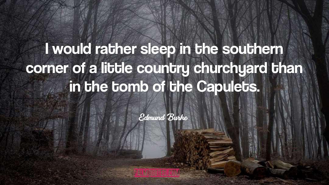 Churchyard quotes by Edmund Burke