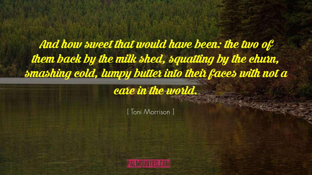 Churn quotes by Toni Morrison