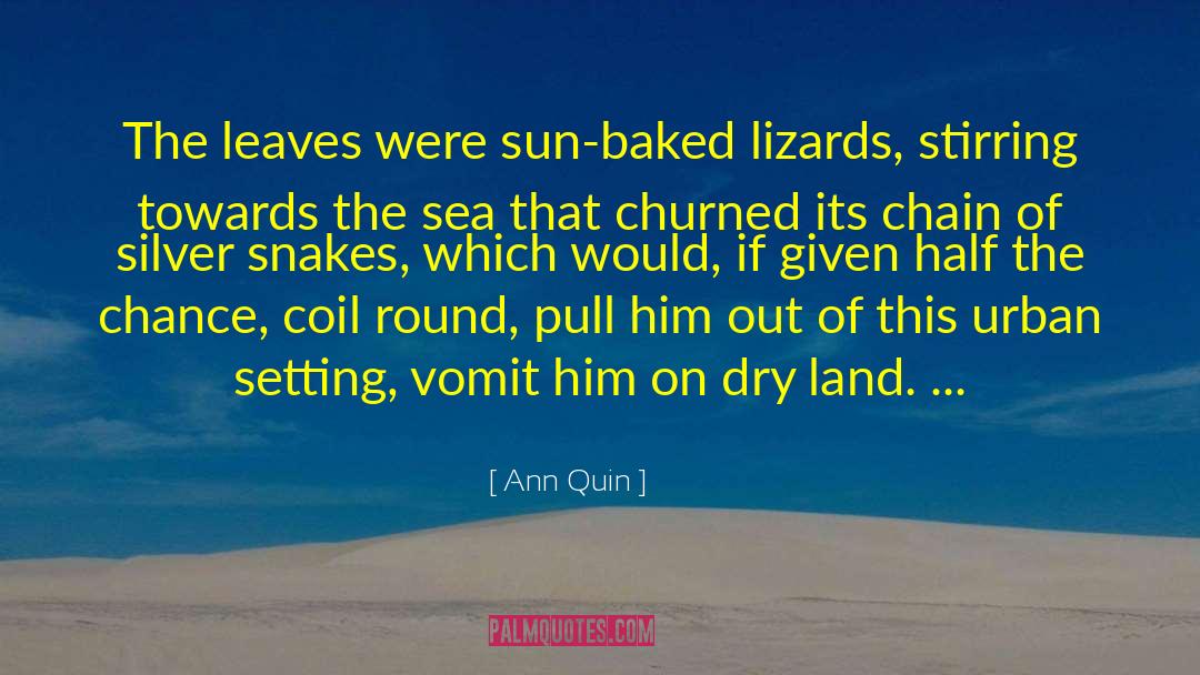 Churned Up quotes by Ann Quin