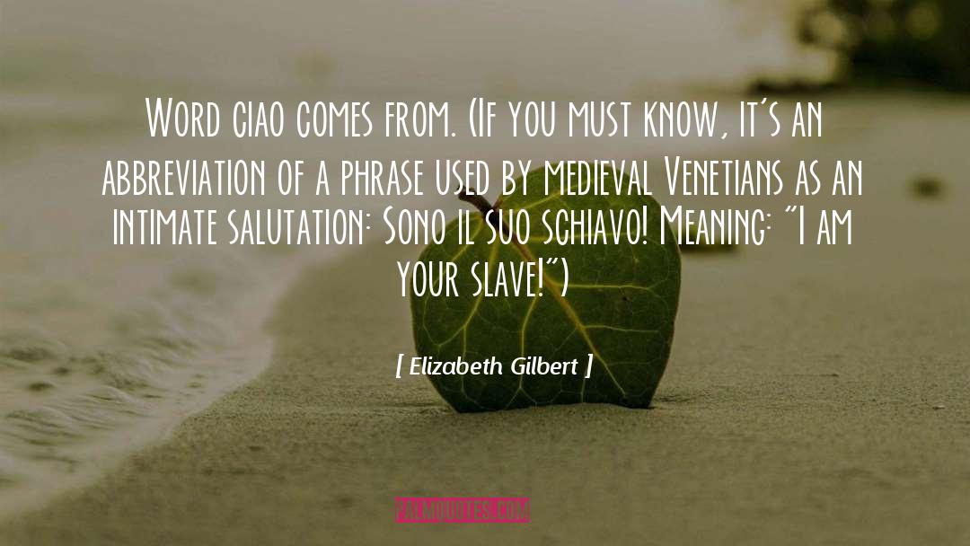 Ciao Professore quotes by Elizabeth Gilbert