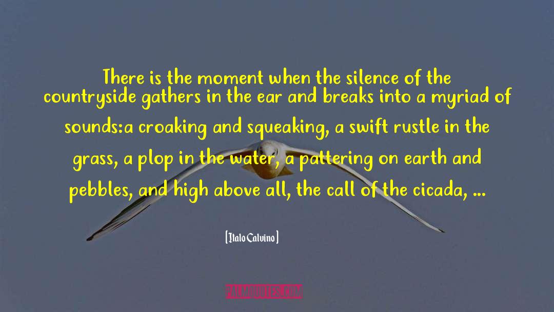 Cicada quotes by Italo Calvino