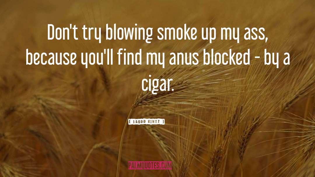 Cigar quotes by Jarod Kintz