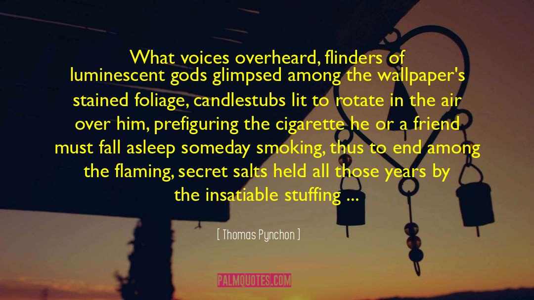 Cigarette Burns quotes by Thomas Pynchon