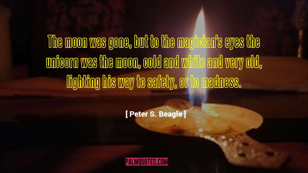 Cigarette Lighting quotes by Peter S. Beagle