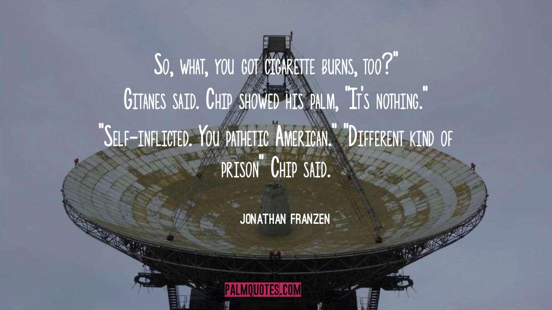 Cigarette quotes by Jonathan Franzen