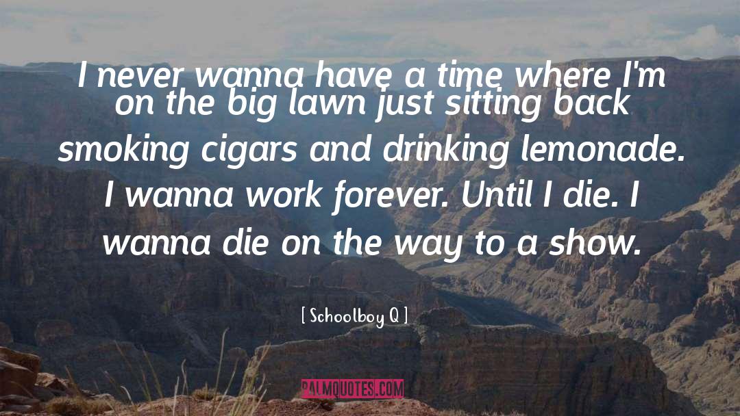 Cigars quotes by Schoolboy Q