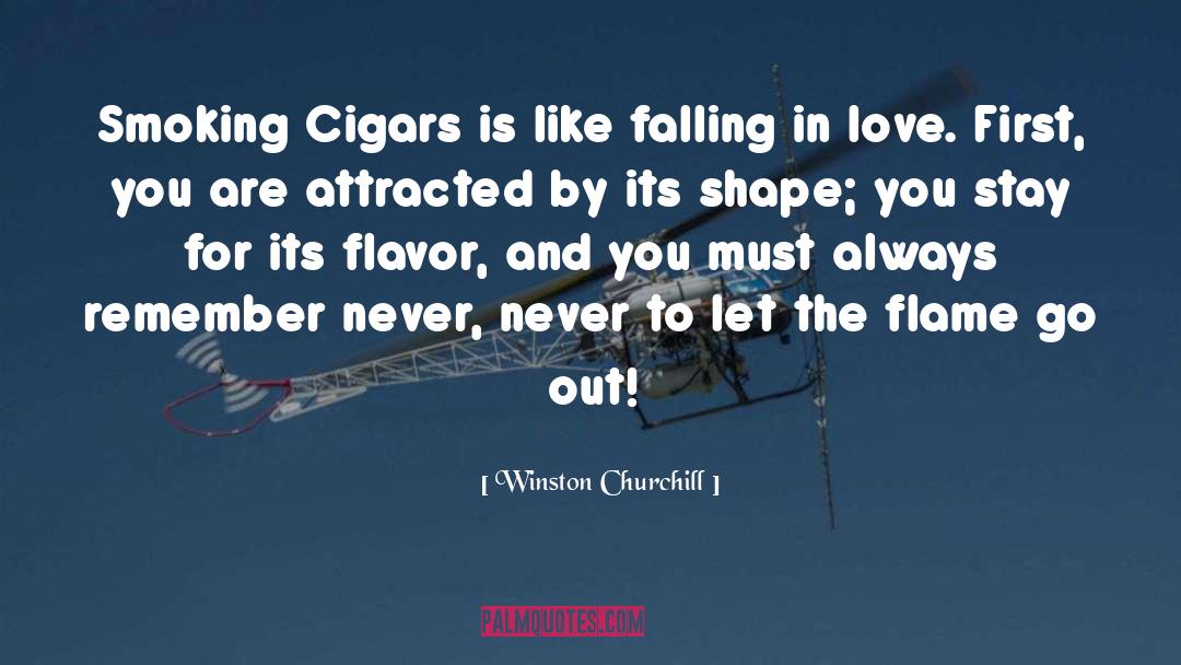 Cigars quotes by Winston Churchill