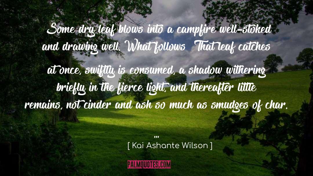 Cinder quotes by Kai Ashante Wilson