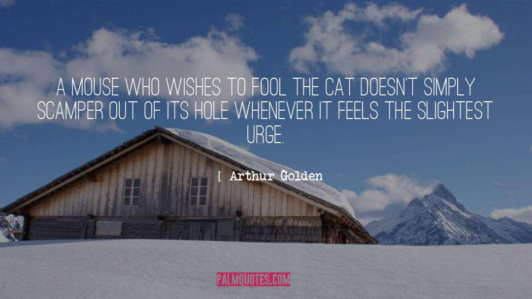 Cinderella Mice quotes by Arthur Golden