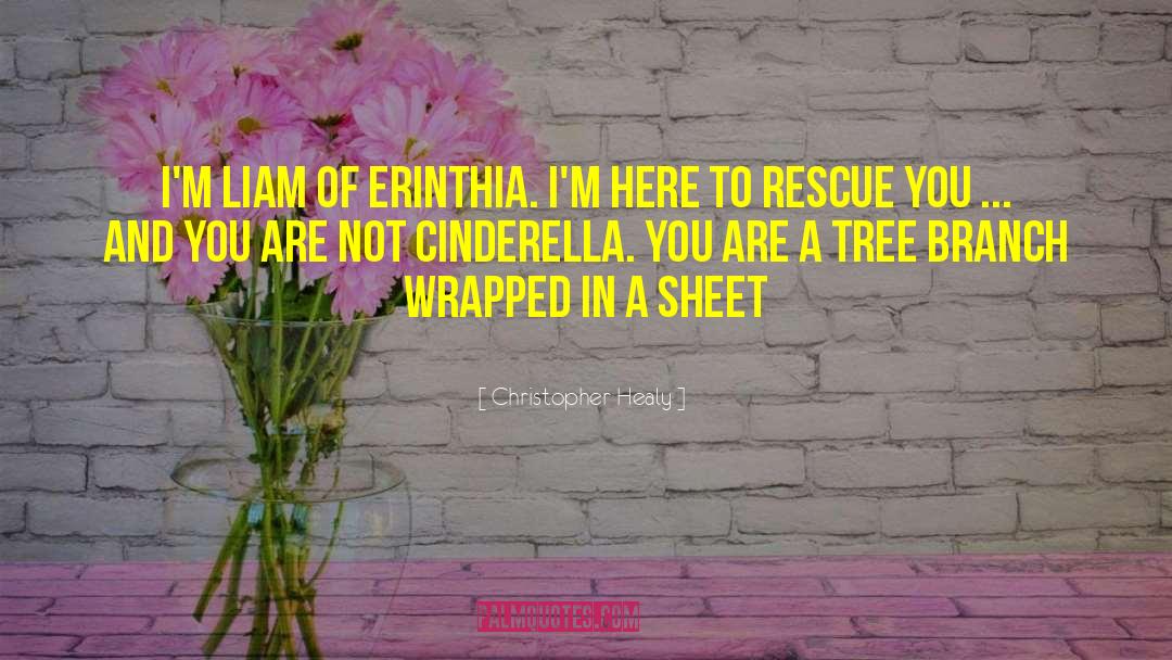 Cinderella Sarcastic quotes by Christopher Healy