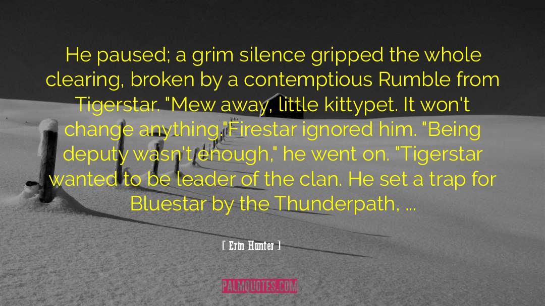 Cinderpelt quotes by Erin Hunter