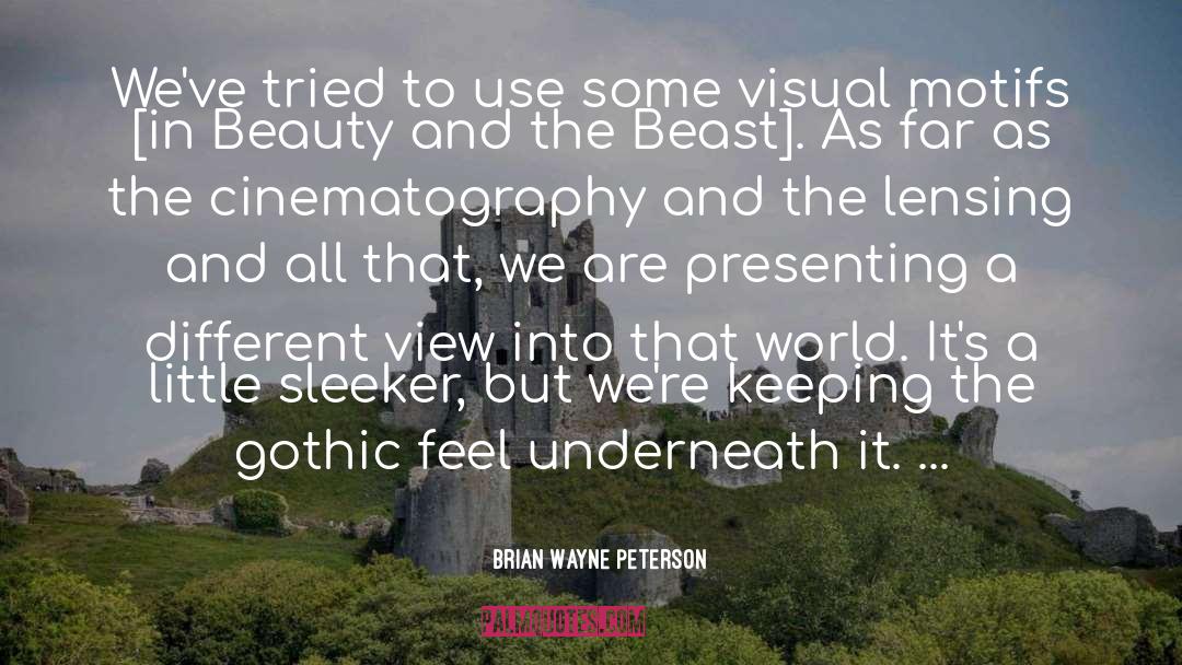 Cinematography quotes by Brian Wayne Peterson