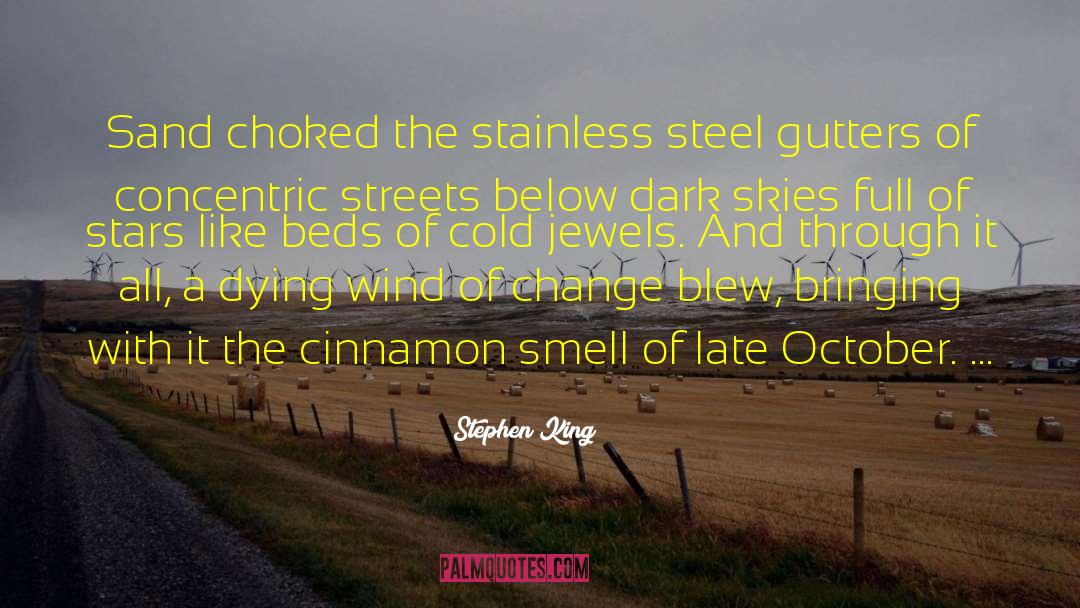 Cinnamon Sticks quotes by Stephen King