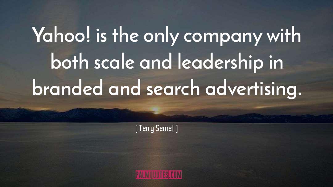 Cio Leadership quotes by Terry Semel