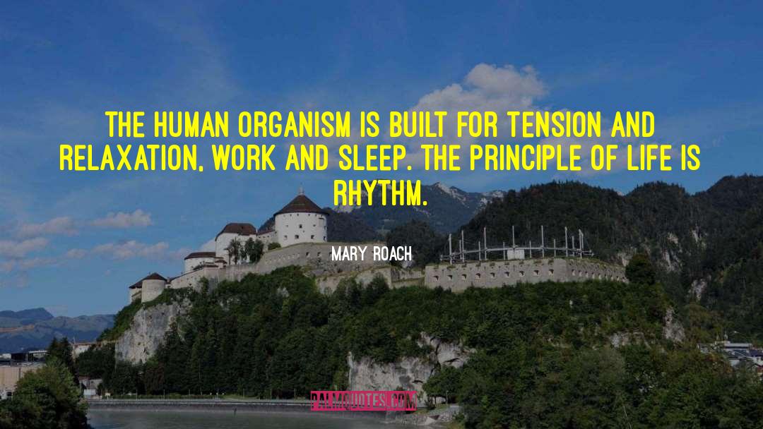 Circadian Rhythm quotes by Mary Roach