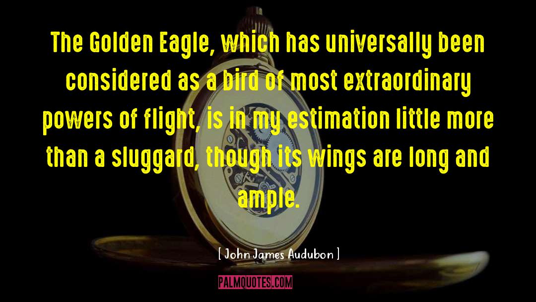 Circle Of Flight quotes by John James Audubon