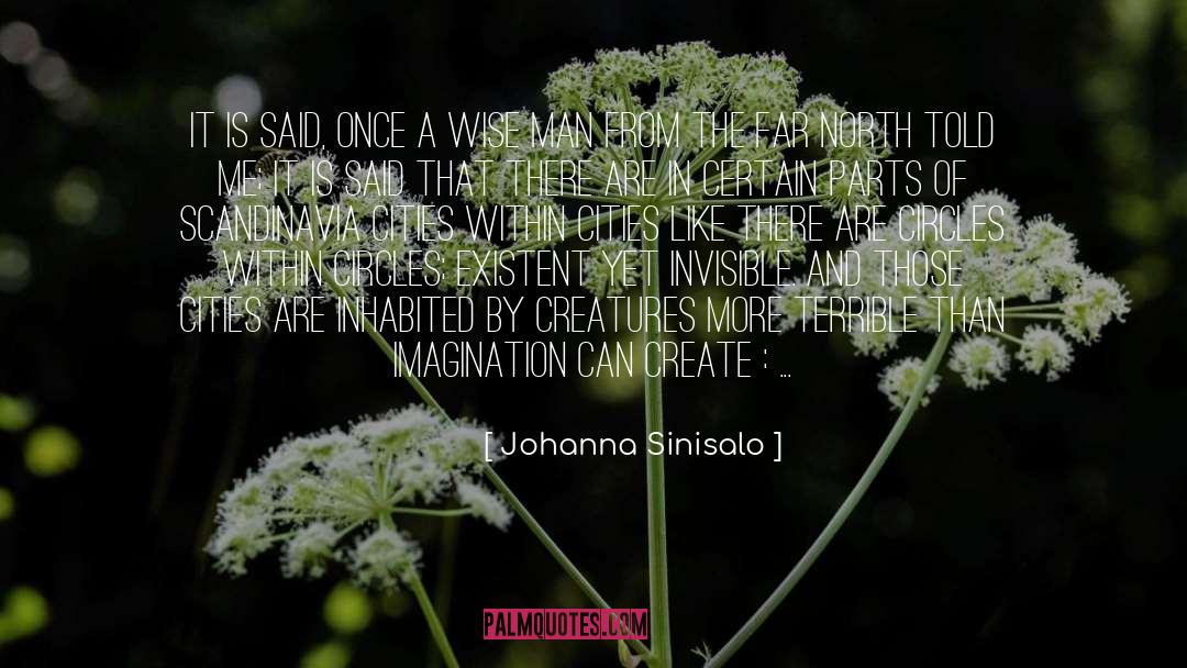 Circles And Stones quotes by Johanna Sinisalo