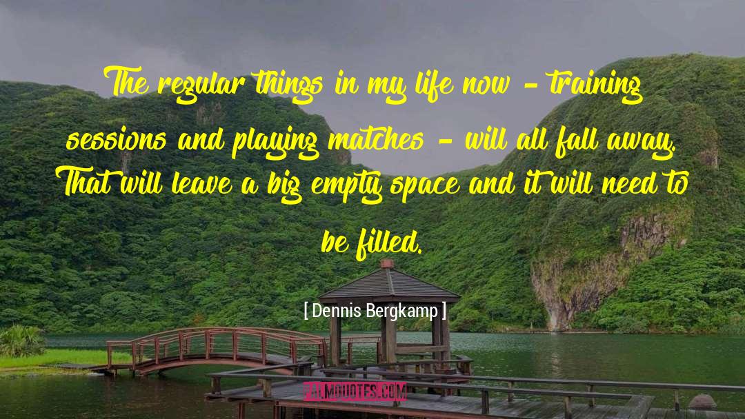 Circuit Training quotes by Dennis Bergkamp