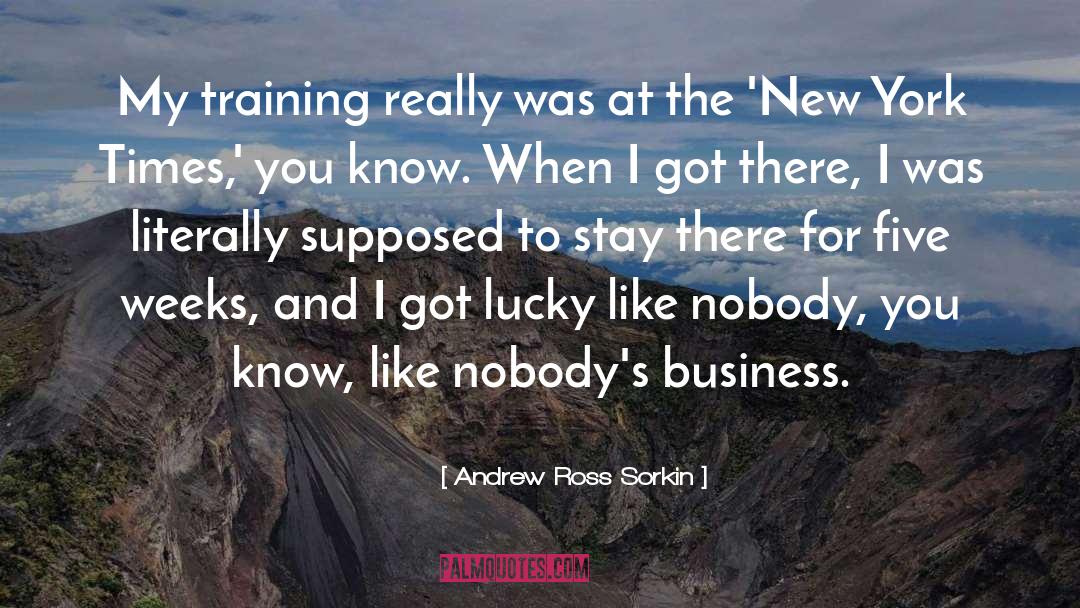 Circuit Training quotes by Andrew Ross Sorkin