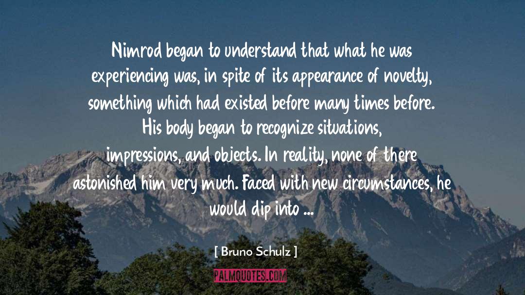 Circumstances quotes by Bruno Schulz