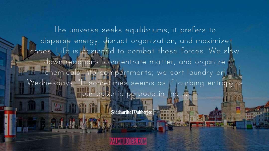 Cissell Laundry quotes by Siddhartha Mukherjee