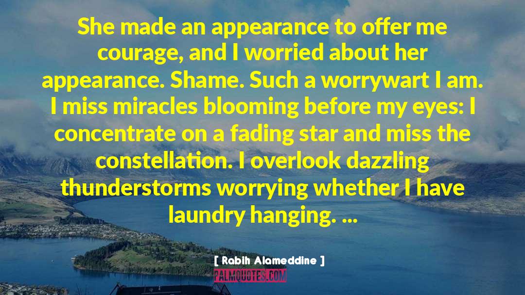 Cissell Laundry quotes by Rabih Alameddine