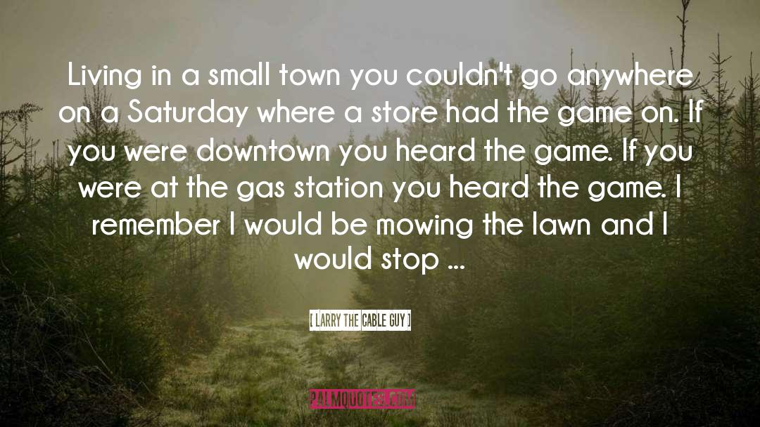 Cities And Towns quotes by Larry The Cable Guy