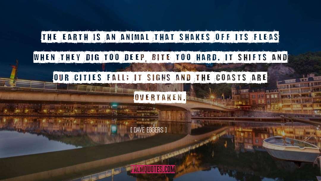 Cities quotes by Dave Eggers