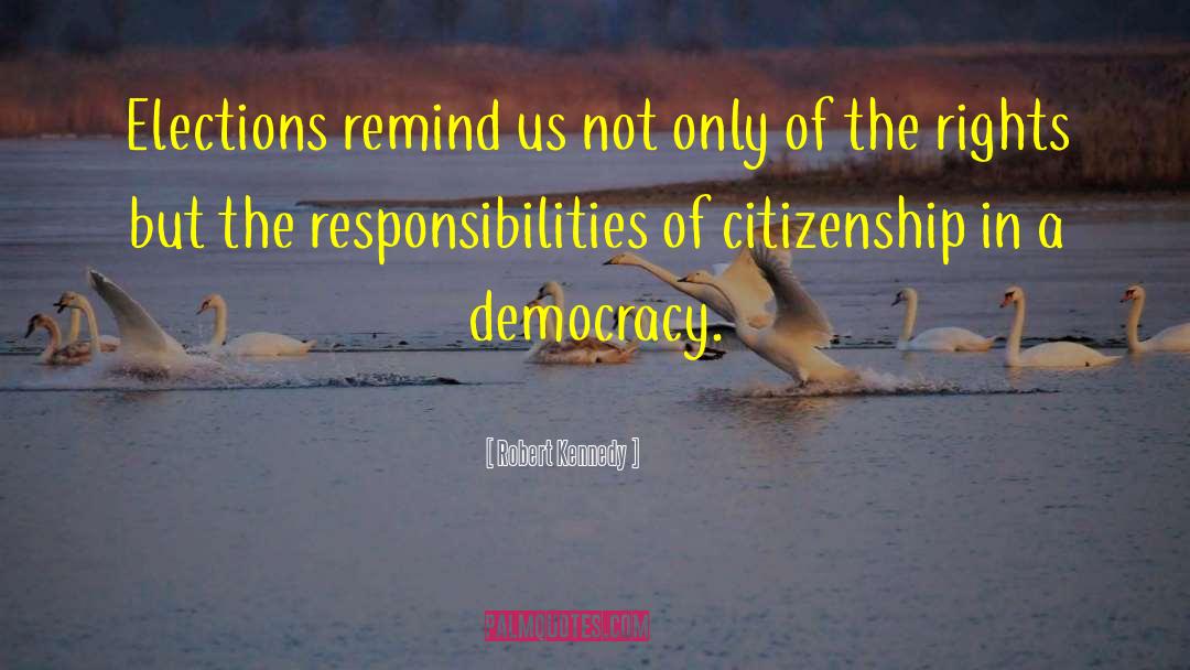 Citizenship quotes by Robert Kennedy