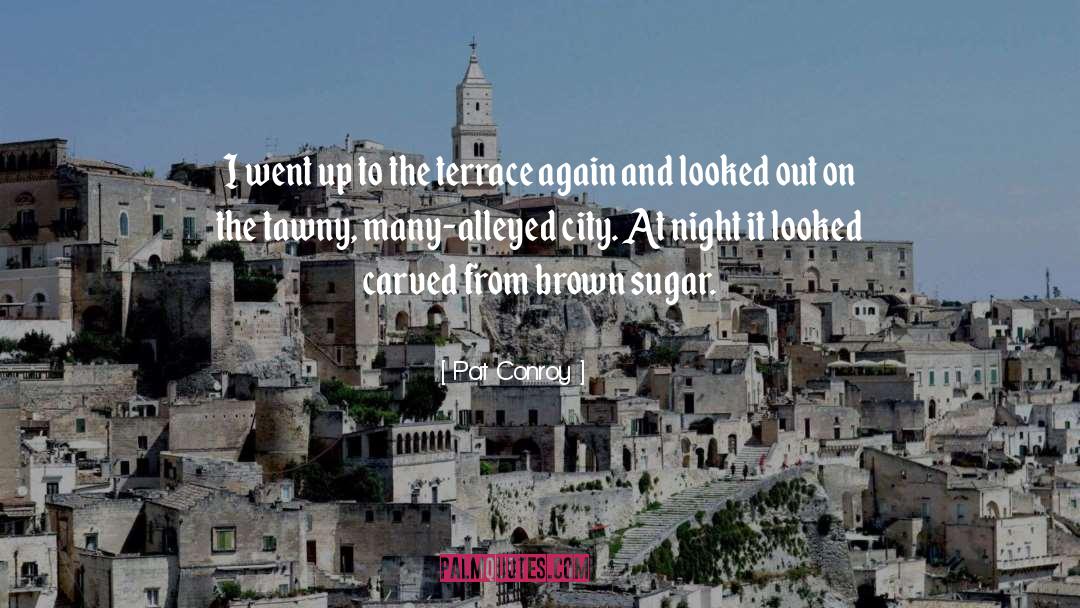 City At Night quotes by Pat Conroy