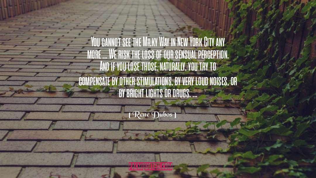 City Councils quotes by Rene Dubos