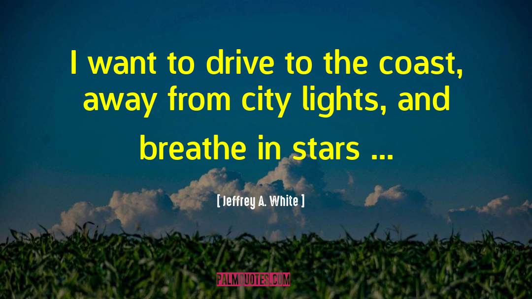 City Lights quotes by Jeffrey A. White