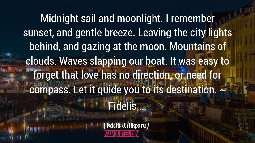 City Lights quotes by Fidelis O. Mkparu