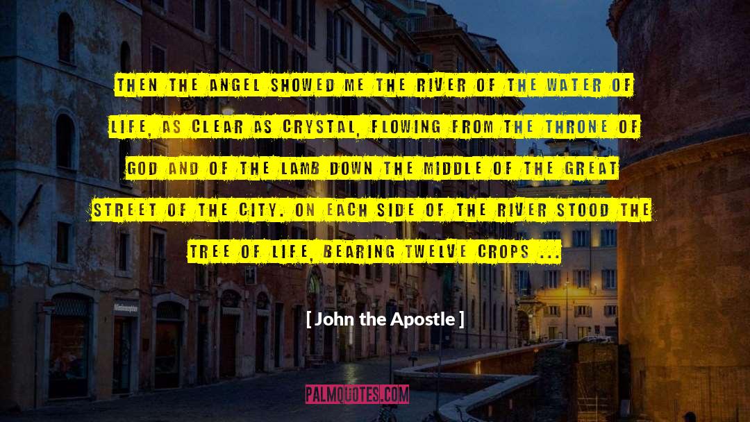 City Of Ashes quotes by John The Apostle