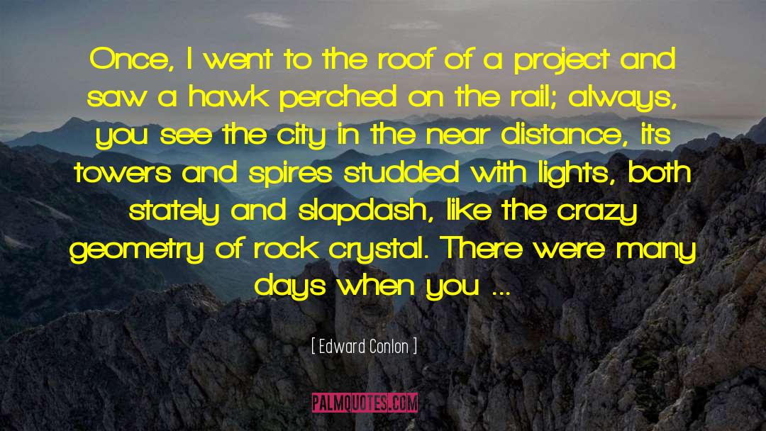 City Of Refuge quotes by Edward Conlon