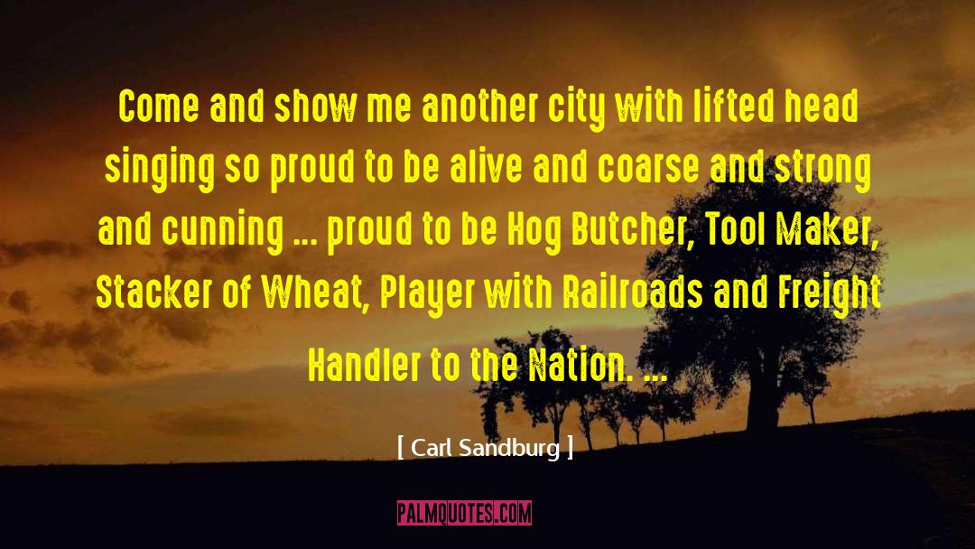 City Of Shadows quotes by Carl Sandburg
