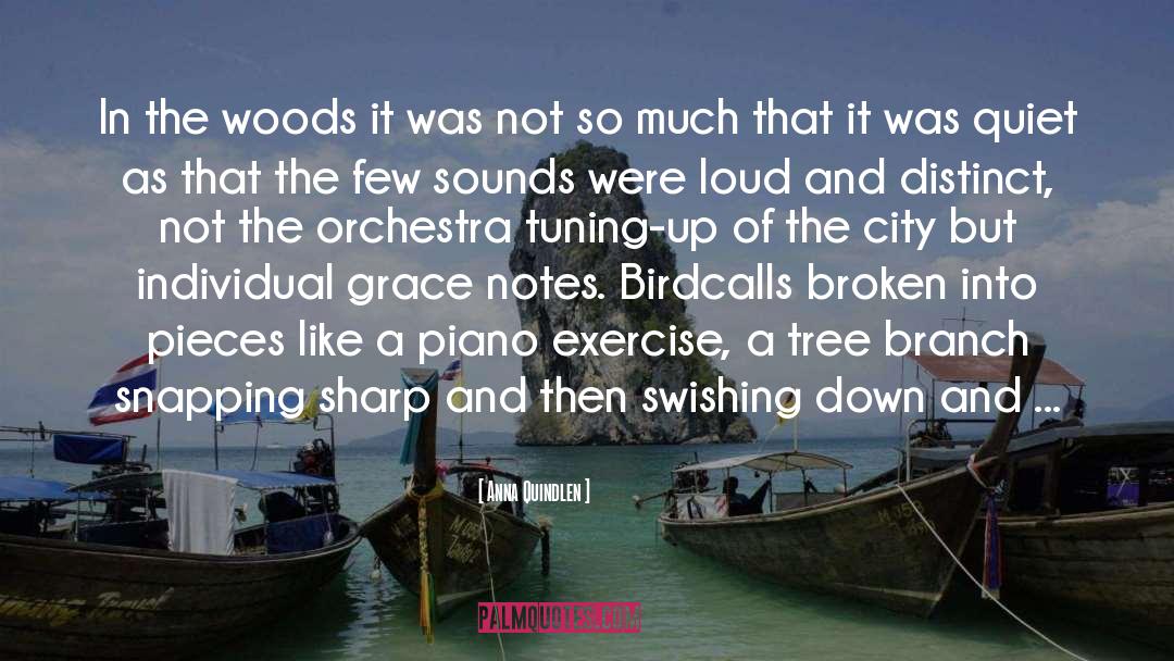 City quotes by Anna Quindlen