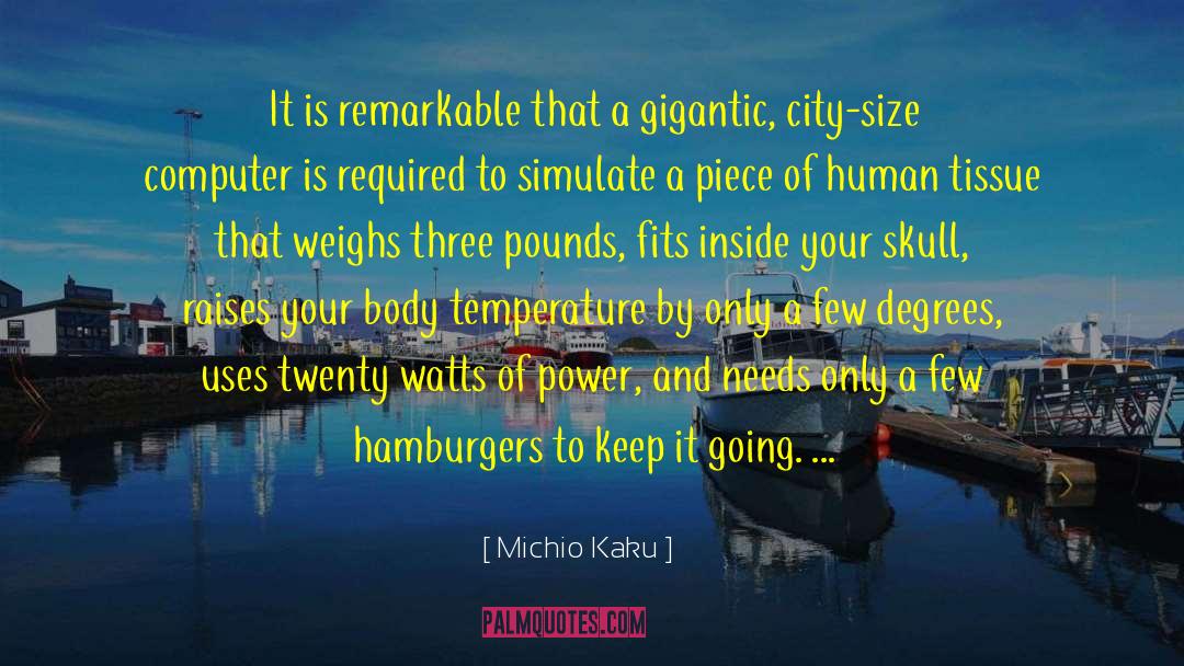 City Size quotes by Michio Kaku