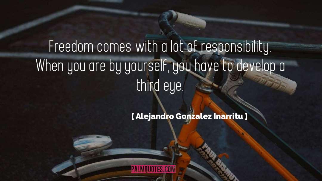 Civic Responsibility quotes by Alejandro Gonzalez Inarritu