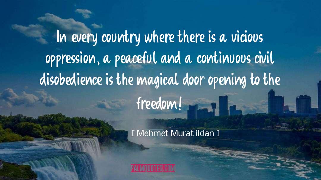 Civil Disobedience quotes by Mehmet Murat Ildan