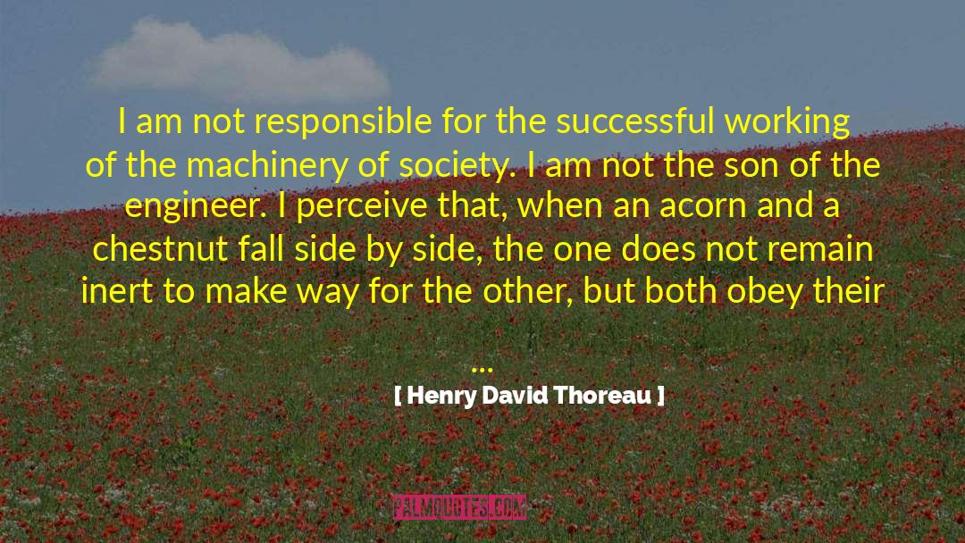 Civil Engineer quotes by Henry David Thoreau