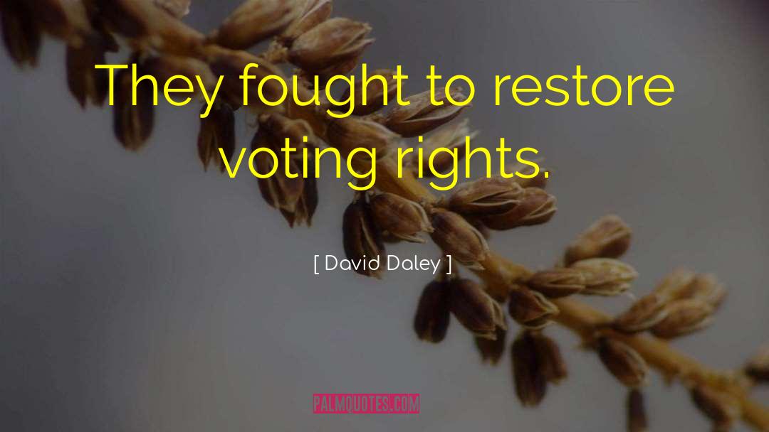 Civil Rights Mom quotes by David Daley