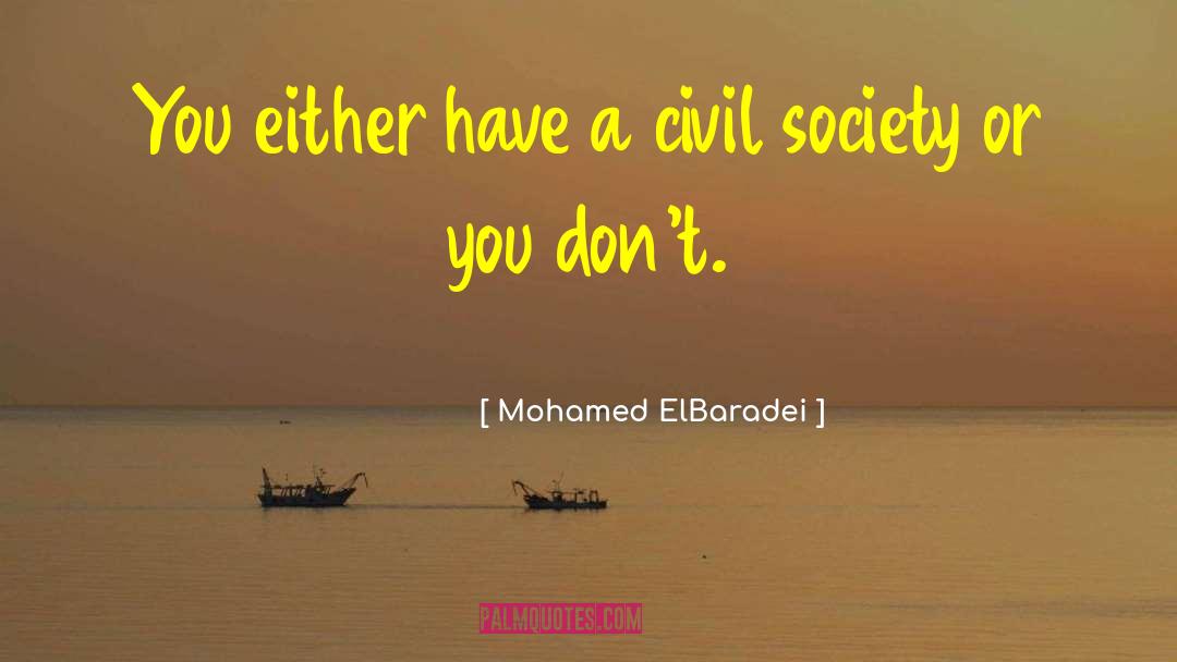 Civil Society quotes by Mohamed ElBaradei
