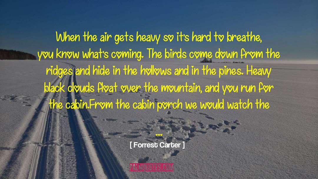 Clague Cabin quotes by Forrest Carter