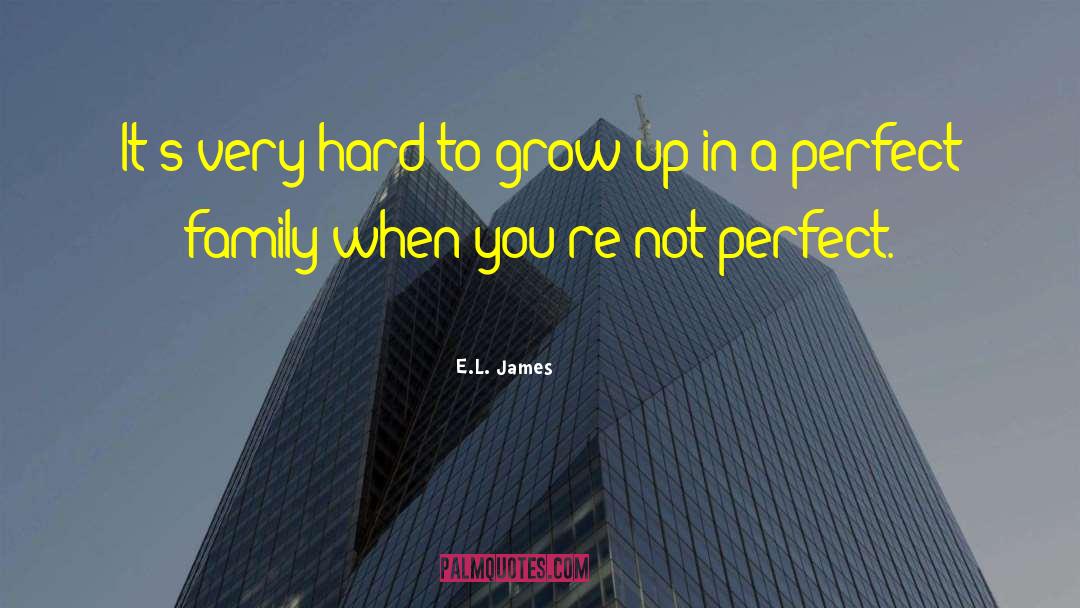 Claiming To Be Perfect People quotes by E.L. James