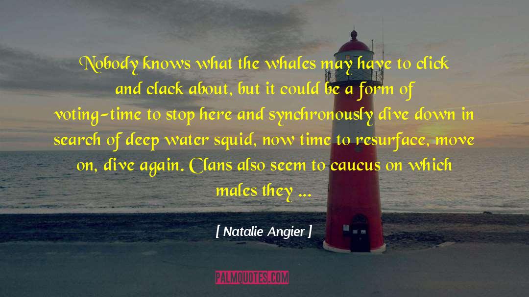 Clans quotes by Natalie Angier