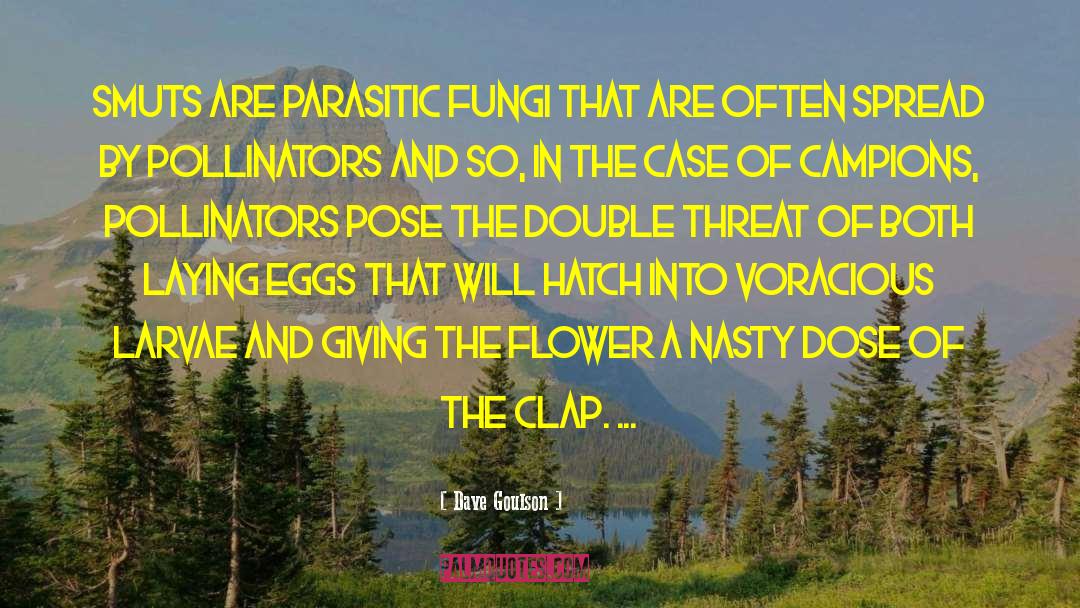Clap quotes by Dave Goulson