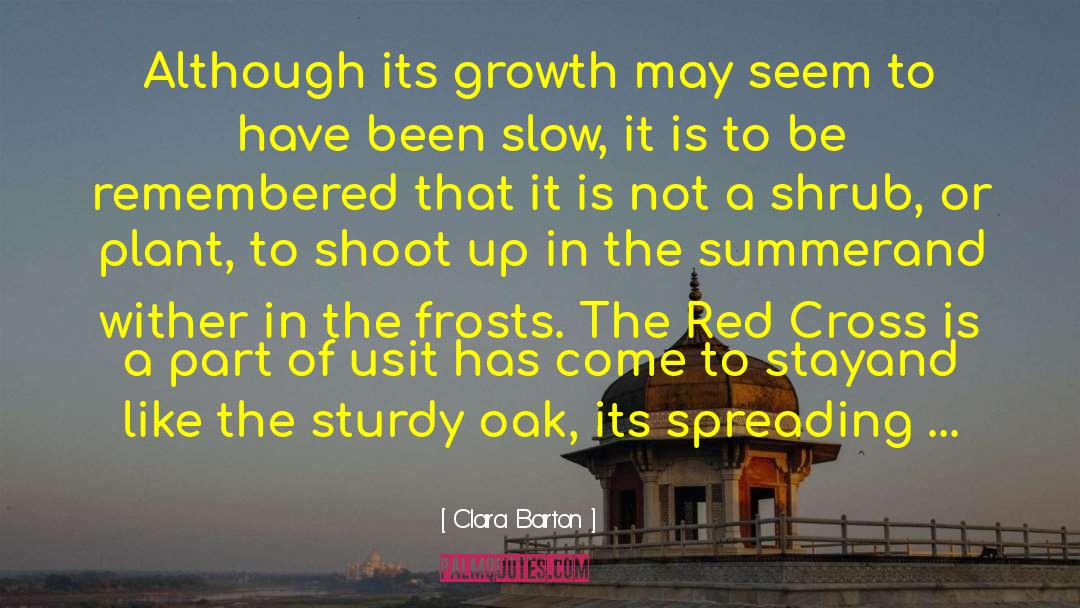 Clara quotes by Clara Barton