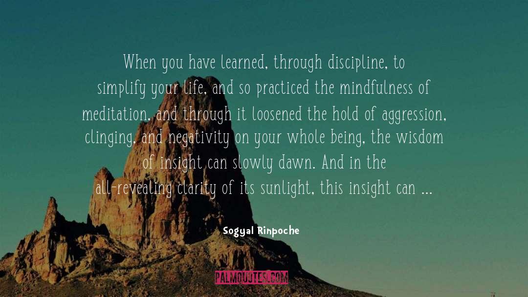 Clarity And Precision quotes by Sogyal Rinpoche