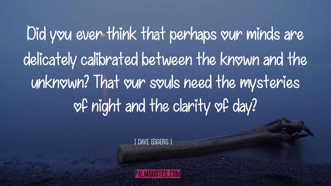 Clarity Of Purpose quotes by Dave Eggers